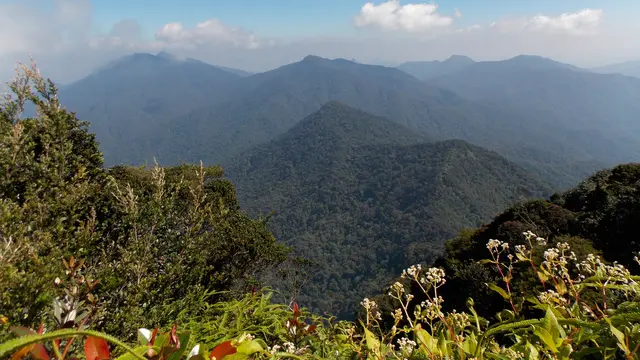 Gunung Yong Belar di Malaysia, terletak di perbatasan negara bagian Perak dan Kelantan. (Dok: Gunung Bagging <a href="https://www.gunungbagging.com/yong-belar/nggallery/page/2">https://www.gunungbagging.com/yong-belar/nggallery/page/2</a>)