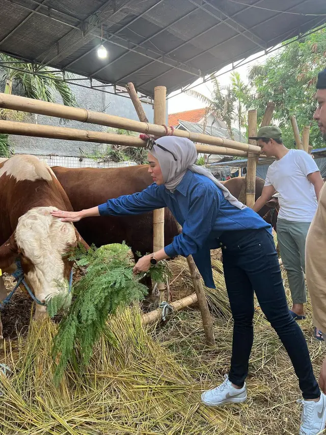 Jelang Hari Raya Idul Adha, Ini 6 Potret Delia Septianti Kini Semangat Jualan Sapi