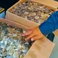 14 kilogram sisik trenggling yang disita petugas dari empat penjual satwa ilegal di Pekanbaru. (Liputan6.com/M Syukur)