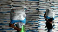 BP BUMN Mau Pangkas 42 Entitas Usaha Pupuk Indonesia