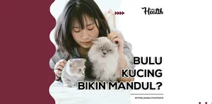 Banyak yang bilang kalo bulu kucing bisa bikin mandul. Cek fakta selengkapnya di video ini yuk!