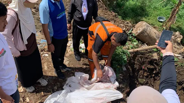 Pemprov DKI Jakarta melalui Dinas KPKP melakukan penguburan ikan sapu-sapu hasil penangkapan di sejumlah wilayah.