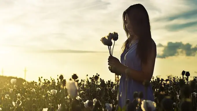 Ilustrasi./Copyright pixabay.com