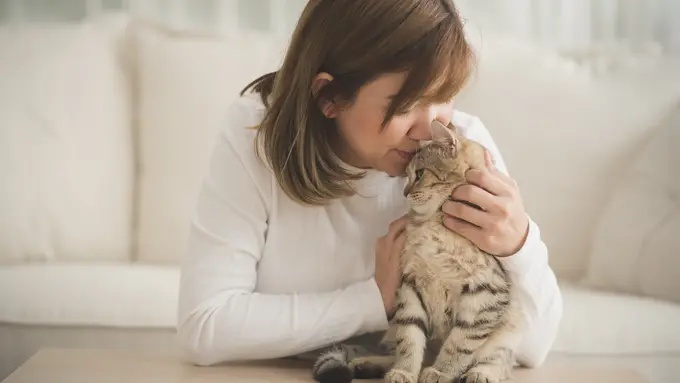 kucing
