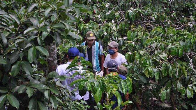 Sambut Hari Tani ke-60, Kementan Dorong Petani Milenial ...