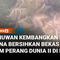 Dalam ekspedisi terbaru di perairan Jerman yang penuh bom bekas Perang Dunia II, para peneliti menemukan sejumlah hewan laut sedang bersantai di atas bom-bom tersebut. Senjata-senjata lama ini mengeluarkan bahan kimia beracun ke laut yang seharusnya ...