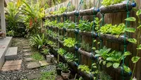 7 Cara Membuat Kebun Botol Bekas di Pagar Rumah, Panduan Lengkap dari Bahan hingga Perawatan
