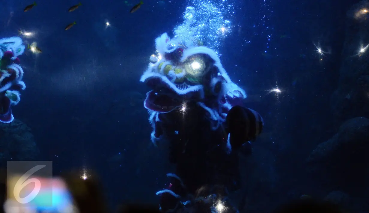 Pemain barongsai dan Liong beraksi di dalam kolam SeaWorld, Ancol, Jakarta, Sabtu (28/1). Atraksi barongsai dan Liong ini untuk memeriahkan perayaan Tahun Baru Imlek 2568. (Liputan6.com/Helmi Fithriansyah)