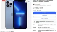 iPhone yang Dilengkapi Aplikasi TikTok Tampak Dijual di eBay, Harganya Capai Rp405 Juta