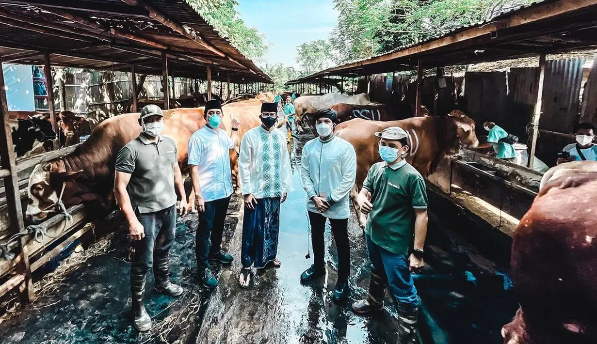 Atta Halilintar dan Aurel Hermansyan juga berkurban dengan sapi ukuran jumbo. Sapi tersebut bobotnya di atas 1 ton. (Instagram/attahalilintar)