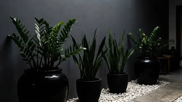 Model Teras Minimalis Modern dengan Tanaman Pot Monokrom