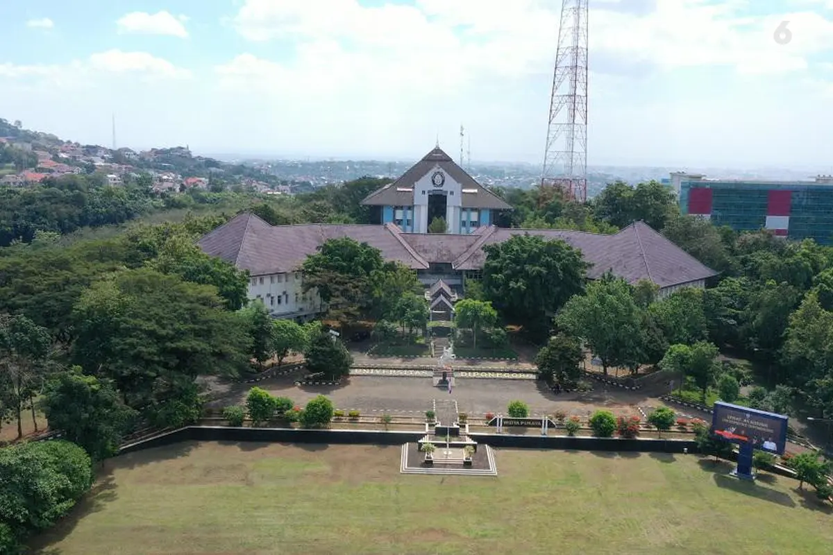 Undip