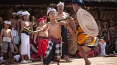 Anak laki-laki mengambil bagian dalam ritual tahunan "Perang Pandan" (pertarungan daun Pandan), yang secara lokal dikenal sebagai "Mekare-kare," untuk menghormati Indra, dewa perang Hindu, di Tenganan Pegringsingan, Bali pada Kamis 11 Juni 2026. (LANA PRIATNA/AFP)