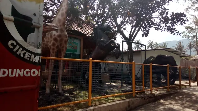 Nikmati Liburan Bareng Taman Satwa Cikembulan Nan Asri di Garut