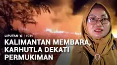 Kebakaran Gambut Hanguskan Lebih dari 10 Hektare Kebun Sawit di Kotawaringin Timur