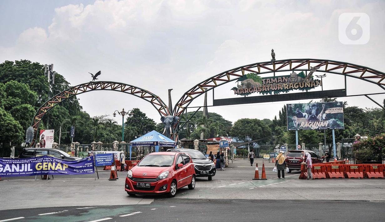 <p>Mobil berpelat ganjil putar balik saat pemberlakuan ganjil genap di Taman Margasatwa Ragunan, Jakarta, Minggu (24/10/2021). Pemprov DKI melalui Dinas Perhubungan DKI Jakarta memberlakukan sistem ganjil genap di tiga tempat wisata. (merdeka.com/Iqbal S. Nugroho)</p>