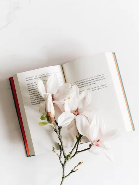 Kutipan Novel Me Before You Bagian II