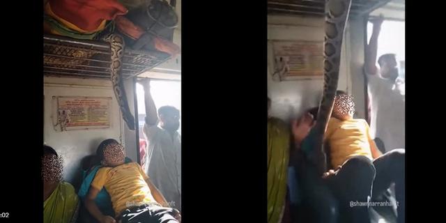 Viral Video Ular Sanca Menggantung di Kereta Ternyata Hasil AI, Sukses Bikin Kaget