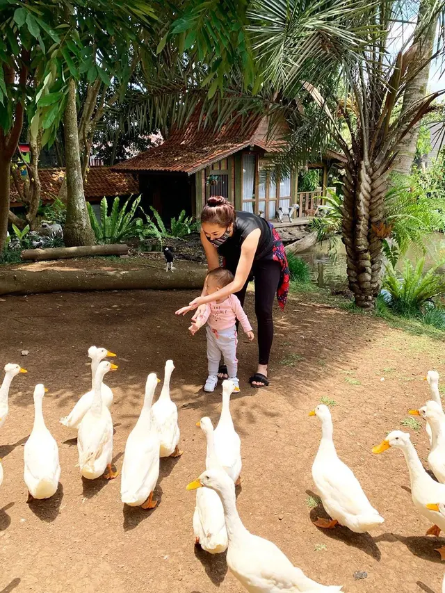 6 Momen Liburan Aura Kasih di Kebun Bawa Senapan Ini Jadi Sorotan