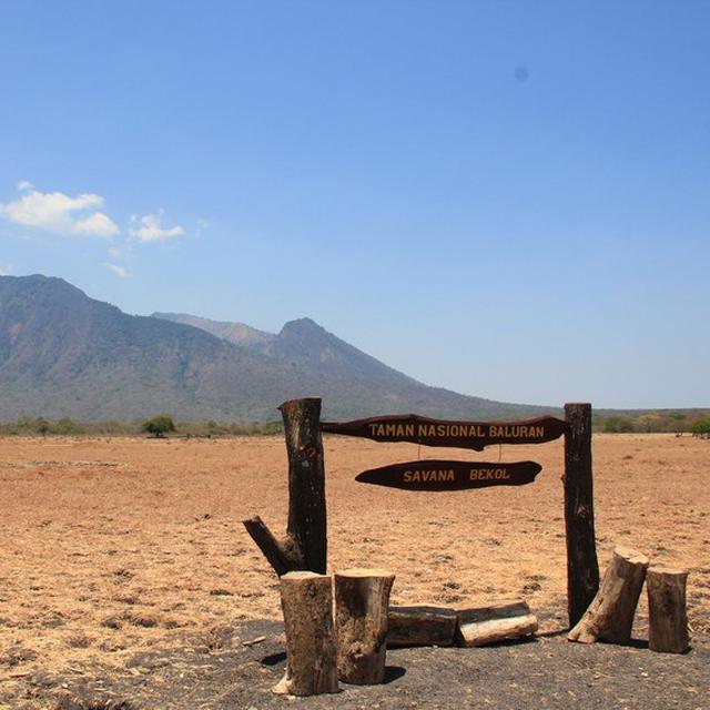 Pagi Yang Menawan Di Taman Nasional Baluran Regional