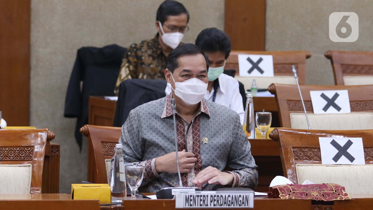 Dihadapan DPR, Mendag dan BKPM Bahas Pelaksanaan Investasi di Masa Pandemi