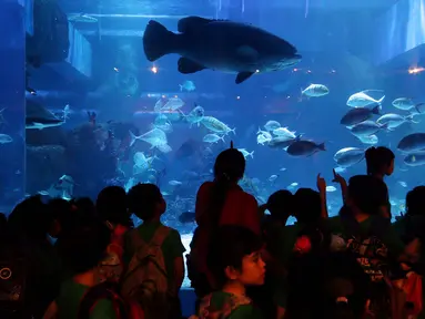 Anak - anak sekolah melihat ikan di dalam aquarium saat peresmian Jakarta Aquarium di Neo Soho, Jakarta, Selasa (16/10). Taman Safari Indonesia bekerjasama dengan Aquaria resmi membuka Jakarta Aquarium. (Liputan6.com/Johan Tallo)