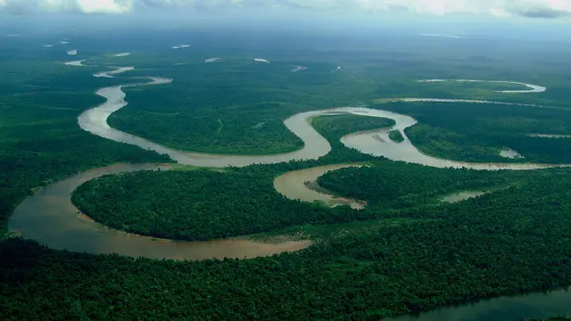 Hutan Hujan Amazon