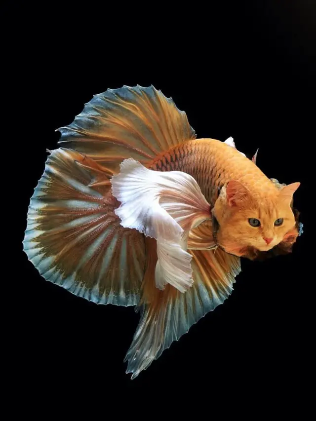 6 Editan Foto Ikan Berwajah Hewan Darat Ini Absurd Banget, Kocak