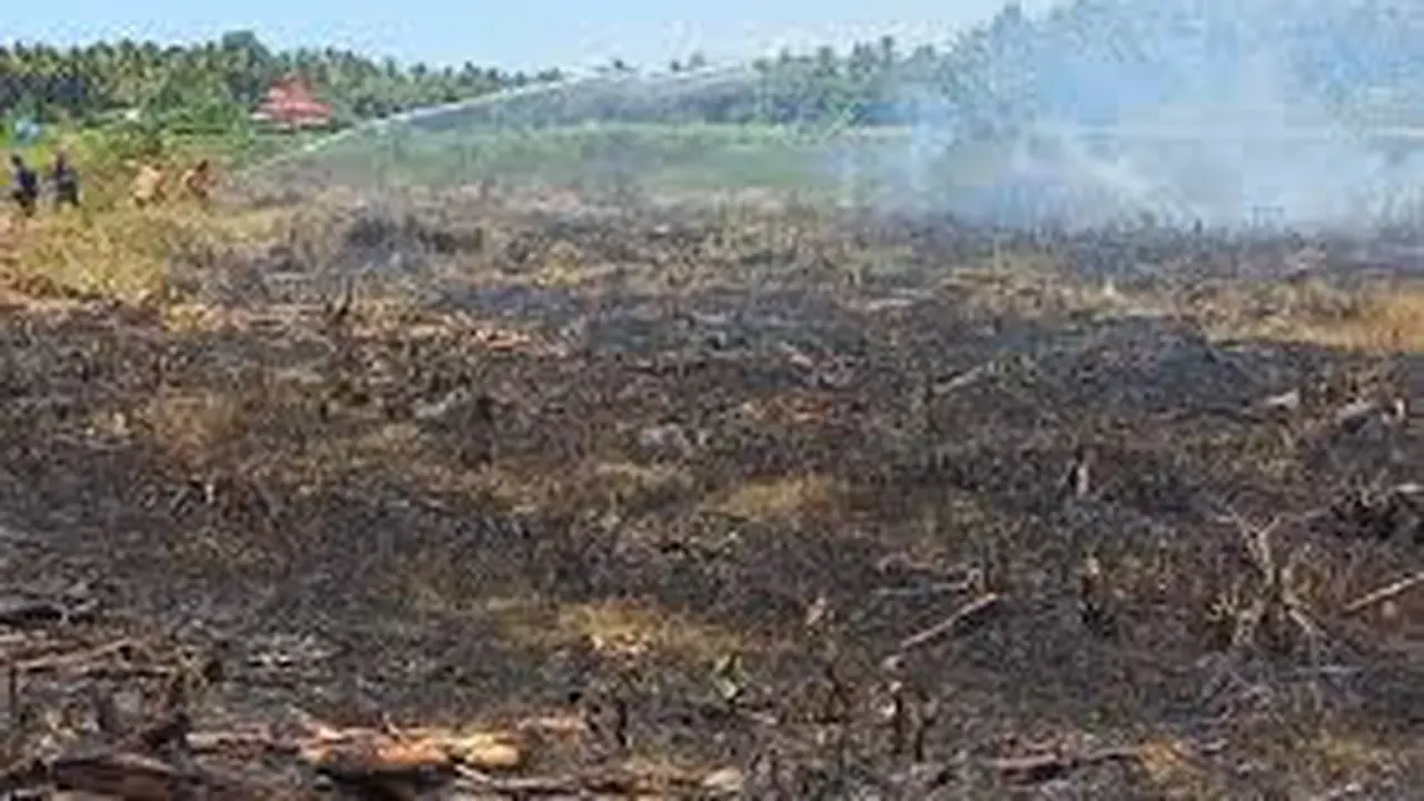 kebakaran lahan di salah satu lahan kosong di daerah Kecamatan Kabat Banyuwangi beberapa waktu lalu (Istimewa)