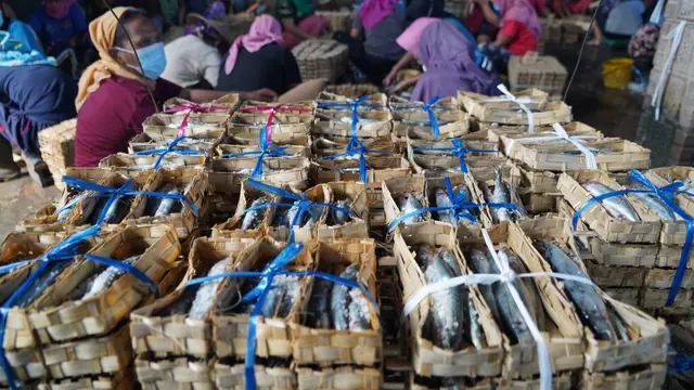 Neraca Perdagangan Perikanan Januari-Agustus Surplus USD 3,41 Miliar
