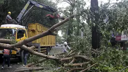 Petugas berusaha menyingkirkan pohon tumbang akibat diterjang Topan Dujuan di Taipei, Taiwan, Selasa (29/9/2015). 24 orang mengalami cedera akibat topan raksasa Dujuan. (REUTERS/Pichi Chuang)