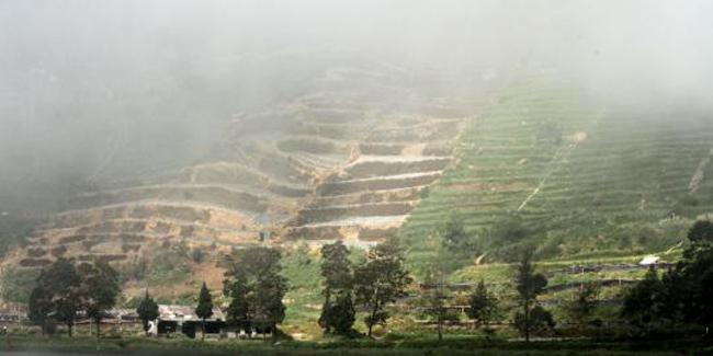 Dataran Tinggi Dieng | (c) merdeka.com