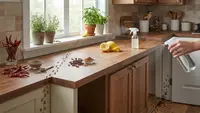 10 Bahan Dapur yang Bisa Membantu Mengusir Semut dari Rumah Secara Alami, Simak Caranya