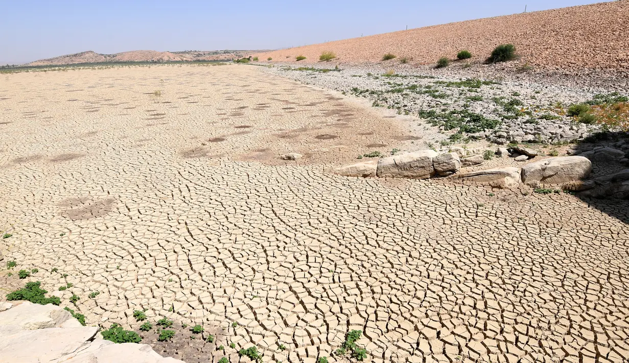 Tanah di dasar bendungan El-Haouareb mengalami retak-retak akibat kekeringan di dekat Kairouan, sekitar 160 km selatan Tunis, Tunisia, 13 Juli 2017. Wilayah ini mengalami kekeringan parah yang disebabkan oleh kemarau berkepanjangan. (FETHI BELAID/AFP)