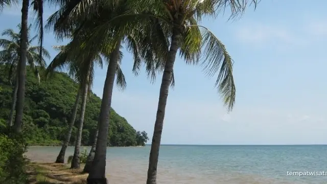 Pantai Mayangkara Gresik. (Liputan6.com/ ist)