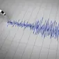 Gempa berkekuatan 7,9 Skala Richter (SR) mengguncang lepas pantai timur Papua Nugini pada Sabtu (17/12/2016). (Ilustrasi/cdn.abclocal.go.com)