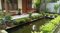 8 Model Kolam Ikan Dangkal di Teras Rumah yang Hemat Biaya dan Estetik