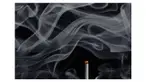 Bau asap rokok masih mungkin untuk tertinggal dalam sebuah ruangan tertutup dalam jangka waktu lama. Orang yang tinggal dalam ruangan tersebut pun berisiko alami masalah kesehatan seperti diungkap dalam studi terbaru. Residu nikotin dan bahan kimia lain 