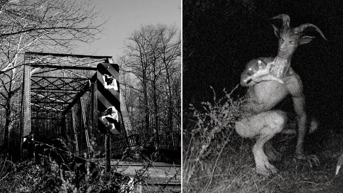 Hoaks atau Fakta? 7 Makhluk Misterius yang Menjadi Perdebatan Ilmuwan