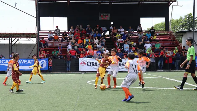 Liga Bola Indonesia