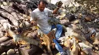 Ramon Medina Archundia dari Meksiko menghabiskan waktunya untuk memelihara ratusan iguana. Foto : webcamsdemexico/Youtube 