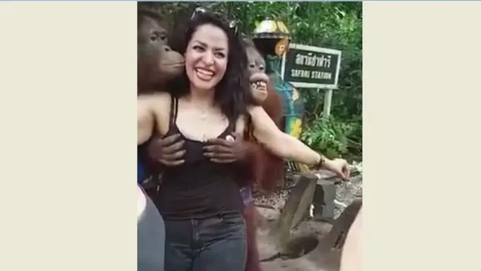 Wanita dan Orangutan, Ada yang Aneh dengan Foto Ini?