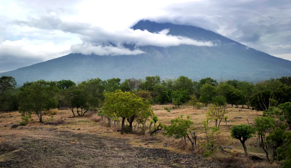 Pemandangan Gunung Agung yang terpantau dari kecamatan Kubu di Karangasem, Bali, Rabu (22/11). Aktivitas Gunung Agung kini mereda, tak ada lagi semburan asap pekat dan jugan abu vulkanik yang sempat dirasakan oleh warga. (SONNY TUMBELAKA/AFP)