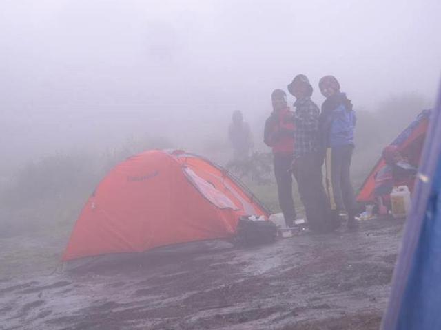 Pendakian Gunung Prau Ditutup 3 Bulan Kenapa Regional Liputan6 Com
