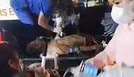 Polisi Hutan Meninggal Saat Padamkan Karhutla