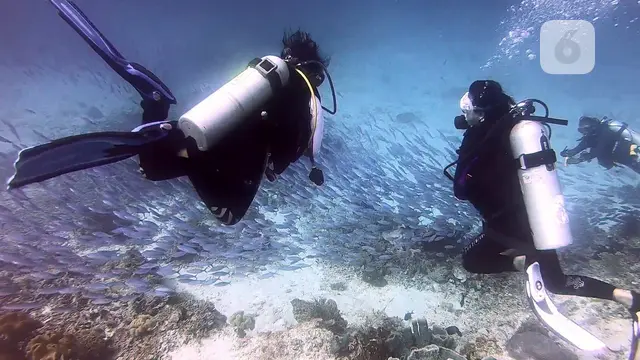 Mios Kun Raja Ampat