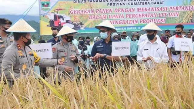 Panen di Sungayang, Gubernur Sumbar: Pertanian Jadi Prioritas Pembangunan
