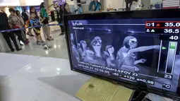 Sebuah monitor terhubung ke pemindai menunjukkan suhu tubuh penumpang yang tiba di Bandara Internasional Bangkok Suvarnabhumi, Thailand, Minggu (21/6/2015). WHO mencatat ada 1.334 kasus MERS di 26 negara. (REUTERS/Kerek Wongsa)