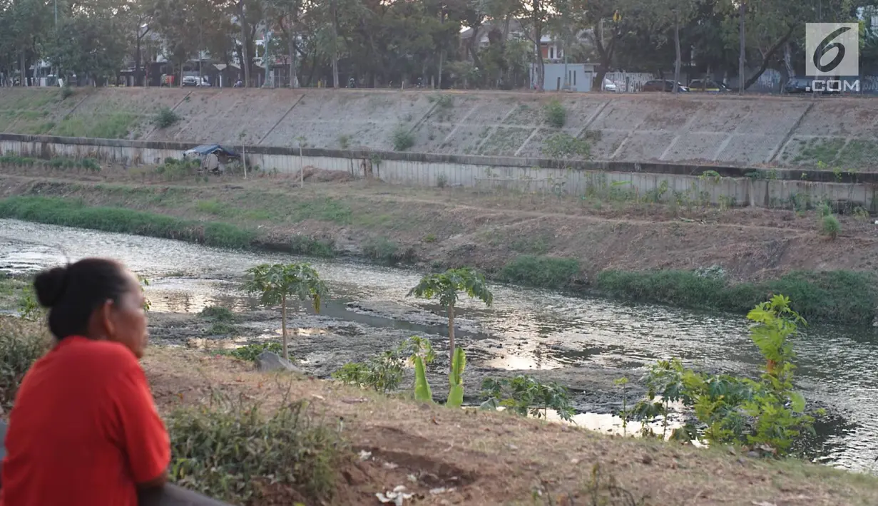 Kondisi aliran Kanal Banjir Timur yang mengalami kekeringan di kawasan Duren Sawit, Jakarta, Selasa (3/9/2019). Kemarau panjang yang melanda Ibu Kota menyebabkan debit air Kanal Banjir Timur berkurang hingga menampakkan dasar kanal. (Liputan6.com/Immanuel Antonius)