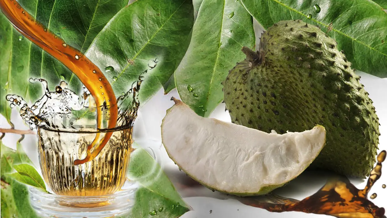 Keajaiban Daun Sirsak untuk Kesehatan
